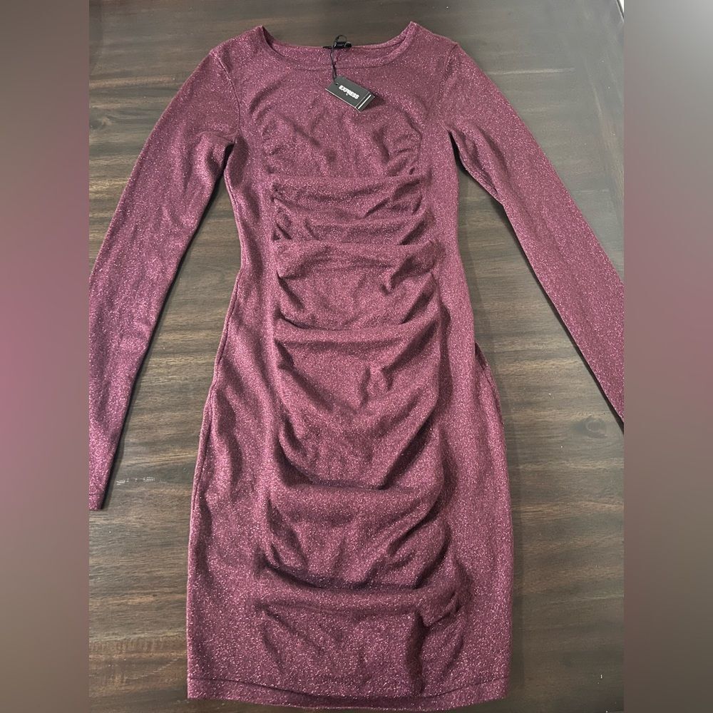 Express Shimmering Plum Long Sleeve Dress